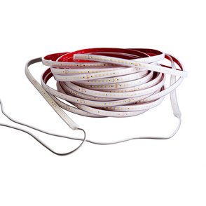 LED Stripes ab IP44 bei ETT Elektrotechniker Thissen in Lemgo